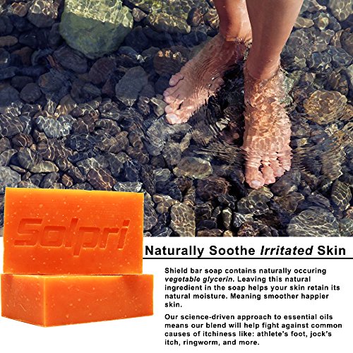 Solpri Shield Antifungal Soap Bar Lemongrass Tea Tree Eucalyptus 4 oz (2 Pack)