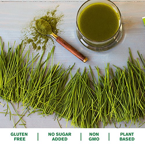 Amazing Grass Greens Trio: Greens Powder with Wheatgrass, Alfalfa, & Barley Grass, Rich Source of Chlorophyll, 30…