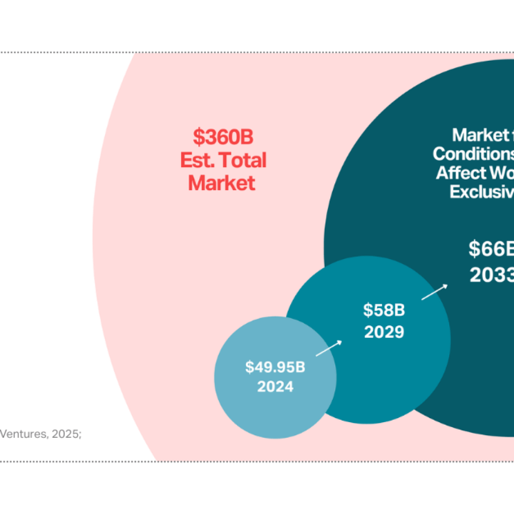 The Economic Case for Women’s Health Investment The Economic Case for Women’s Health Investment