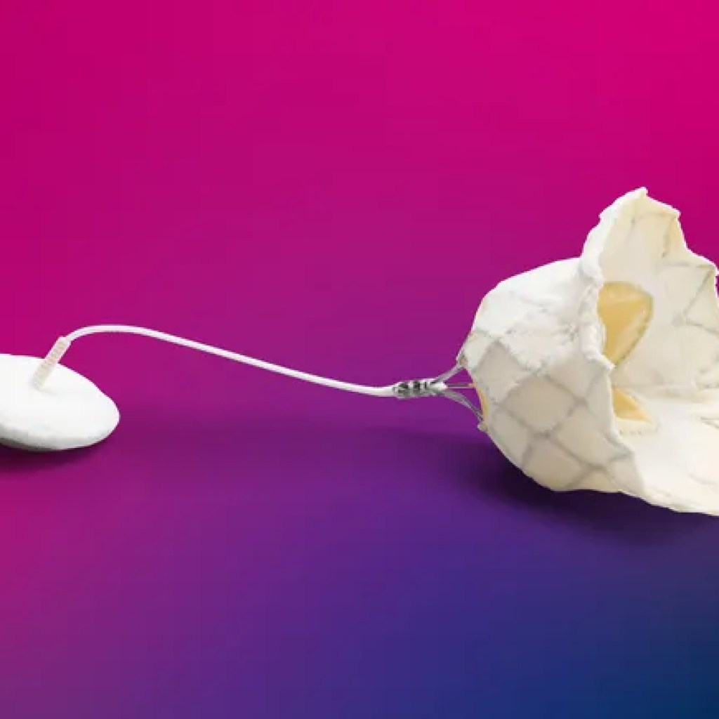 Abbott wins FDA approval for mitral valve replacement device, teeing up Edwards competition Abbott wins FDA approval for mitral valve replacement device, teeing up Edwards competition