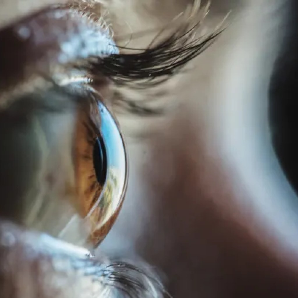 Science Corporation raises 0M for Prima vision restoration device Science Corporation raises 0M for Prima vision restoration device