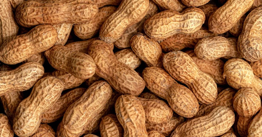 Early Introduction of Peanuts Led to Significant Decline in Allergies Early Introduction of Peanuts Led to Significant Decline in Allergies
