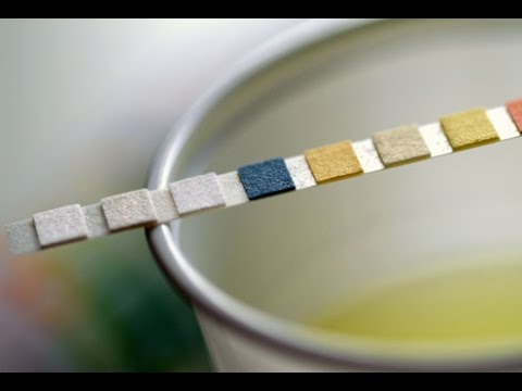 Home Remedies for Urinary Tract Infection Home Remedies for Urinary Tract Infection