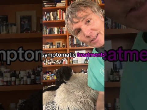 Coughing dog can be tracheal collapse- 3 effective home remedies! Coughing dog can be tracheal collapse- 3 effective home remedies!