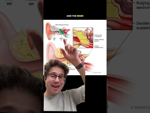 Will this treat an ear infection? #ear #infection #doctor Will this treat an ear infection? #ear #infection #doctor