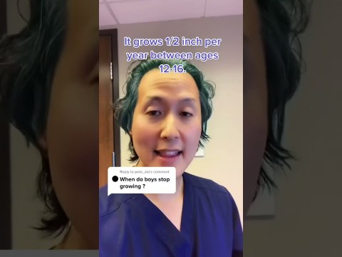 When Does the Pen*s Stop Growing and What Is The Average Size? When Does the Pen*s Stop Growing and What Is The Average Size?