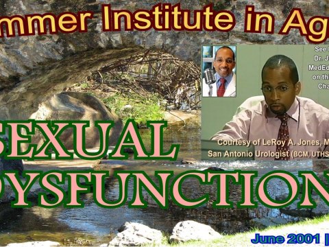 STGEC SIA01: Sexual Dysfunction (2001) STGEC SIA01: Sexual Dysfunction (2001)