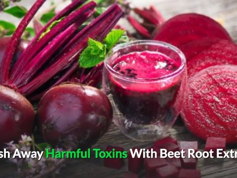 Liver Support Supplement – Natural Liver Detox And Cleansing Supplements That Work Liver Support Supplement – Natural Liver Detox And Cleansing Supplements That Work