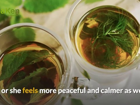 Health Benefits of Chinese Herbal Liver Detox Tea Health Benefits of Chinese Herbal Liver Detox Tea