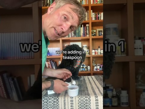 OTC Medication Recipe for Dog Ear Infections OTC Medication Recipe for Dog Ear Infections