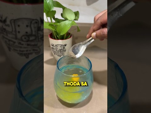 Magical Drink for Fatty Liver #shorts Magical Drink for Fatty Liver #shorts