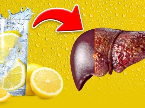 The BEST Drink for a Fatty Liver The BEST Drink for a Fatty Liver