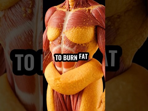 5 Fat-Melting Drinks You Need to Try NOW #shorts #health #explore 5 Fat-Melting Drinks You Need to Try NOW #shorts #health #explore