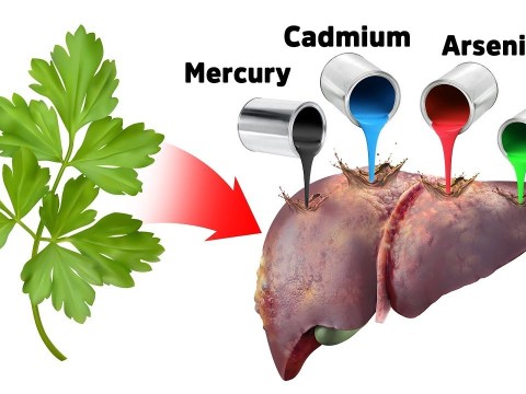 The Best Strategy for Detoxifying Heavy Metals (SAFELY) The Best Strategy for Detoxifying Heavy Metals (SAFELY)