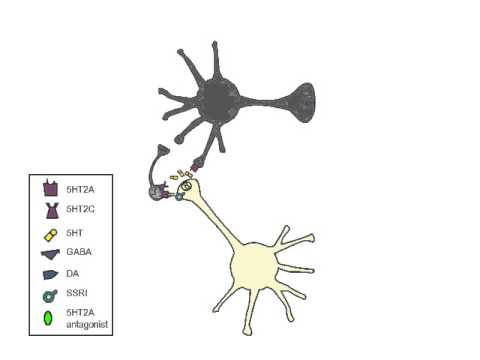 SSRIs and Sexual Dysfunction SSRIs and Sexual Dysfunction