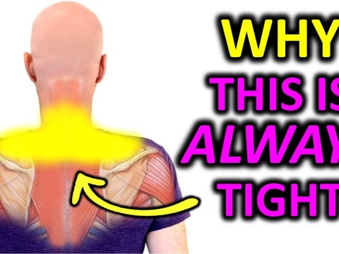 Why Your Neck and Shoulders Are Always Tight Why Your Neck and Shoulders Are Always Tight