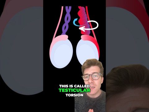 Testicular torsion – 5 Symptoms #shorts Testicular torsion – 5 Symptoms #shorts