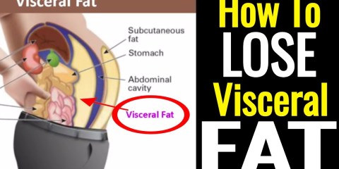How To Lose Visceral Fat – It's Not As Hard As You Think! How To Lose Visceral Fat – It's Not As Hard As You Think!