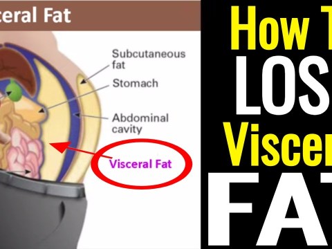 How To Lose Visceral Fat – It's Not As Hard As You Think! How To Lose Visceral Fat – It's Not As Hard As You Think!