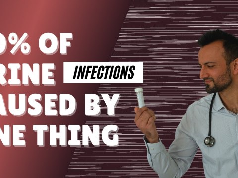 80% of urine infections are caused by one thing 80% of urine infections are caused by one thing