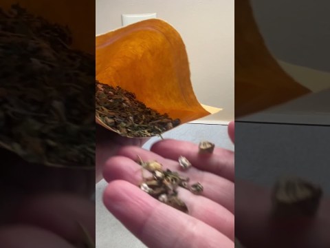 Healthy Liver Cleanse Loose Leaf Tea Review AMAZON Healthy Liver Cleanse Loose Leaf Tea Review AMAZON