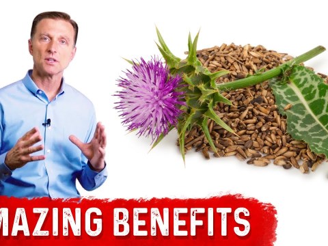 8 Benefits of Milk Thistle for the Liver 8 Benefits of Milk Thistle for the Liver