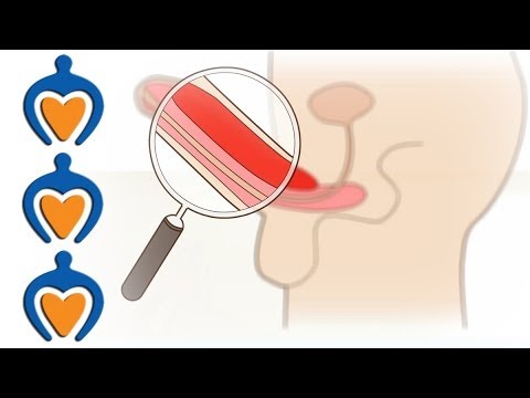 The male orgasm explained The male orgasm explained