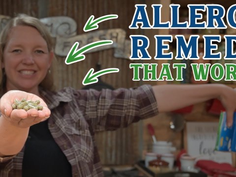 Throw away your Allergy Meds (Easy Herbal Allergy Remedy that really Works) Throw away your Allergy Meds (Easy Herbal Allergy Remedy that really Works)