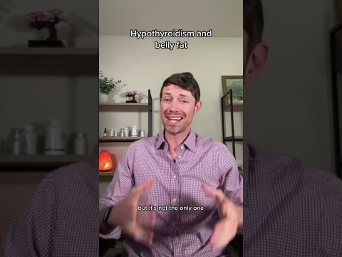 The low thyroid belly fat connection The low thyroid belly fat connection