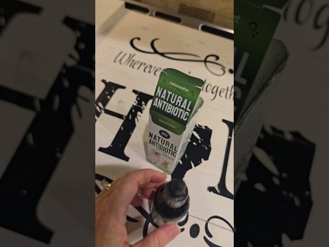 Boost Your Pet’s Health Naturally | Dog & Cat Infection Remedy Boost Your Pet’s Health Naturally | Dog & Cat Infection Remedy