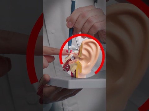 Ear Infection: Home Remedies to Get Rid of Ear Pain Fast Ear Infection: Home Remedies to Get Rid of Ear Pain Fast