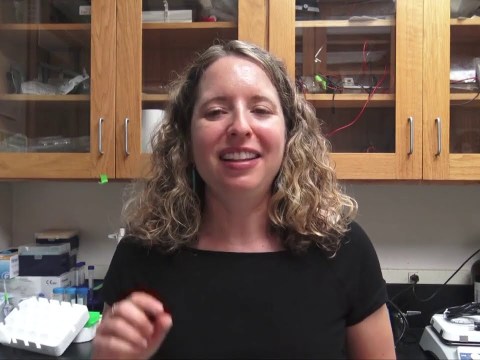 What tumors eat — and how to poison them | Dr. Christal Sohl | TEDxTulsaCC What tumors eat — and how to poison them | Dr. Christal Sohl | TEDxTulsaCC