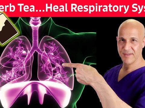 #1 Respiratory Herb Tea…For Colds, Coughs, Mucus, Congestion, Difficulty Breathing | Dr. Mandell #1 Respiratory Herb Tea…For Colds, Coughs, Mucus, Congestion, Difficulty Breathing | Dr. Mandell