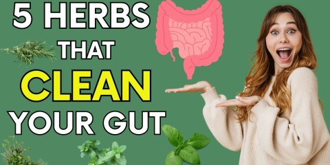 5 Herbs That Cleanse Your Gut and Boost Metabolism Naturally #4 Works Overnight! Gut health | IBS | 5 Herbs That Cleanse Your Gut and Boost Metabolism Naturally #4 Works Overnight! Gut health | IBS |