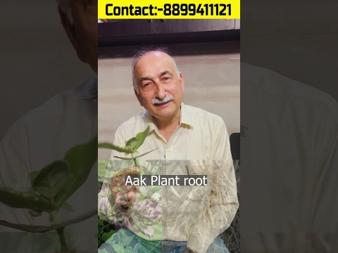 सफेद दाग का सस्ता और आसान उपाय | Vitiligo Home Remedy #vitiligo #whitepatches #spots #skincare #skin सफेद दाग का सस्ता और आसान उपाय | Vitiligo Home Remedy #vitiligo #whitepatches #spots #skincare #skin