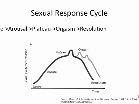 Sexual Disorders By Alexandra Dodd, MD Sexual Disorders By Alexandra Dodd, MD