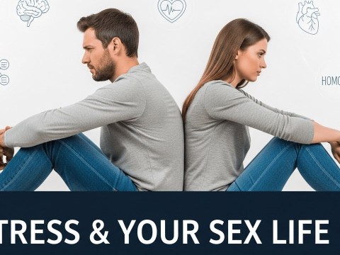 How Stress Affects Your Sex Life & Libido Boost Your Desire Naturally How Stress Affects Your Sex Life & Libido Boost Your Desire Naturally