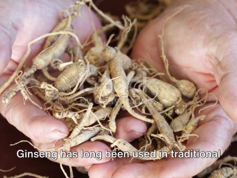 Top 10 foods that enhances your penis size Top 10 foods that enhances your penis size