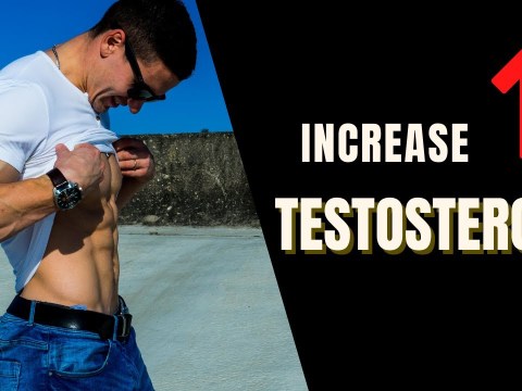 How to Boost Libido and increase testosterone levels naturally How to Boost Libido and increase testosterone levels naturally