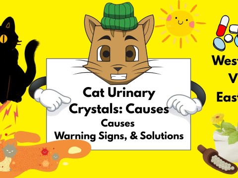 Cat Urinary Crystals: Causes, Warning Signs, & Holistic vs. Western Solutions Cat Urinary Crystals: Causes, Warning Signs, & Holistic vs. Western Solutions