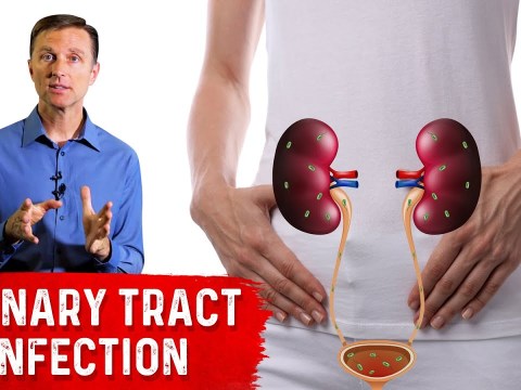 Top Remedies for a UTI (Urinary Tract Infection: Updated) Top Remedies for a UTI (Urinary Tract Infection: Updated)