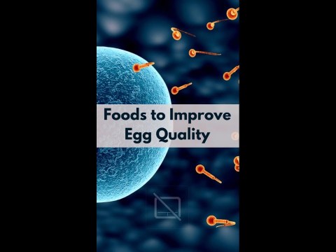 5 Foods to improve egg quality & help you get pregnant naturally #pregnancy #pregnancyfoods 5 Foods to improve egg quality & help you get pregnant naturally #pregnancy #pregnancyfoods