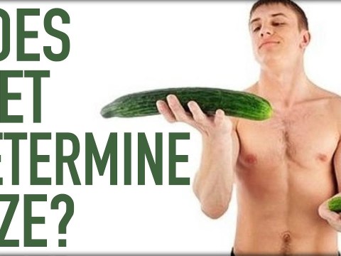 Does Diet Affect Penis Size? | Foods To Avoid Does Diet Affect Penis Size? | Foods To Avoid
