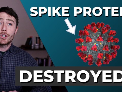 THIS Destroys Spike Protein!? THIS Destroys Spike Protein!?