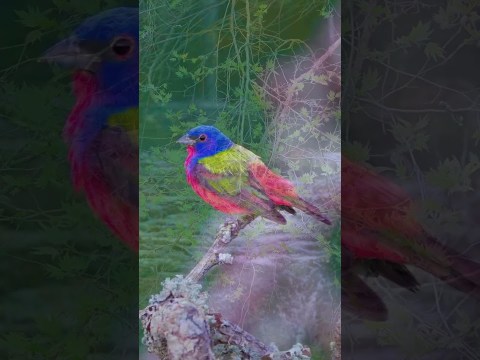 Boost Your Libido Naturally After 60. Boost Your Libido Naturally After 60.