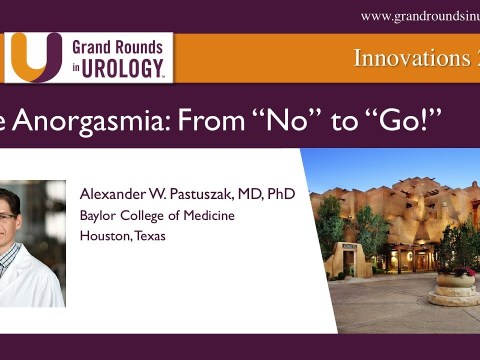 Male Anorgasmia From “No” to “Go!” Male Anorgasmia From “No” to “Go!”