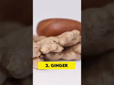 3 Home Remedies for Vaginal Infections | பெண்ணுறுப்பில் தொற்று – 3 வீட்டு வைத்தியங்கள் 3 Home Remedies for Vaginal Infections | பெண்ணுறுப்பில் தொற்று – 3 வீட்டு வைத்தியங்கள்