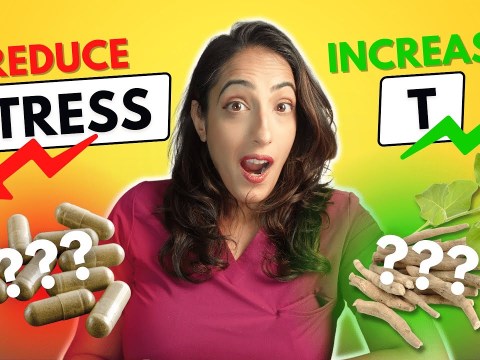 Does ashwaganda really help sex drive, libido and erections?! A urologist breaks it down Does ashwaganda really help sex drive, libido and erections?! A urologist breaks it down