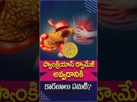 Top 10 Causes of Pancreatic Damage in Telugu || Social Post Health Care #shorts #ytshorts #pancreas Top 10 Causes of Pancreatic Damage in Telugu || Social Post Health Care #shorts #ytshorts #pancreas