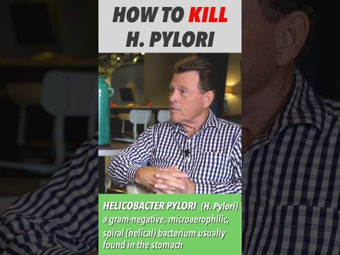 HOW TO KILL H. PYLORI NATURALLY (Helicobacter Pylori) #SHORTS HOW TO KILL H. PYLORI NATURALLY (Helicobacter Pylori) #SHORTS
